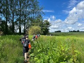 NK Walking Fest S&S