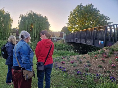 River Slea walk