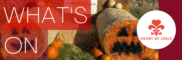 Newsletter header