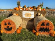 Coleby PYO Pumpkins