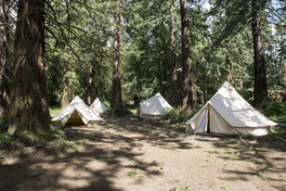 Camp Redwood