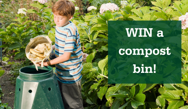 Win a compost bin
