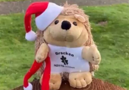 Bracken's search for Santa