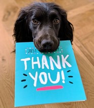 dog holding thank you card in mouth