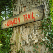 Halloween trail
