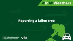 Reporting a fallen tree