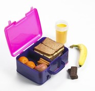 Lunchbox containing sandwiches, fruit, biscuits and a drink