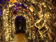 A tunnel of lights with Alice in Wonderland theme