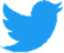Twitter icon