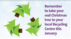 Remember to take your real Christmas tree to your local Recycling Centre this January