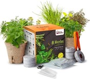 Grow your own herb garden kit