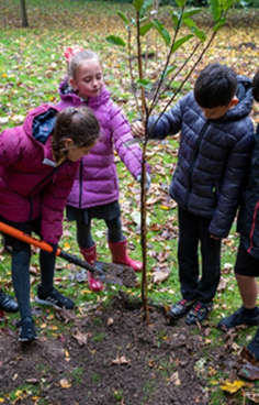 School children planting a fruit tree