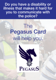 Pegasus card