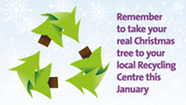 Remember to take your real Christmas tree to your local recycling centre this January