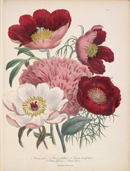 Unearthed exhibition