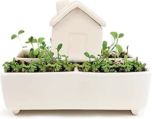 Self-watering herb kit