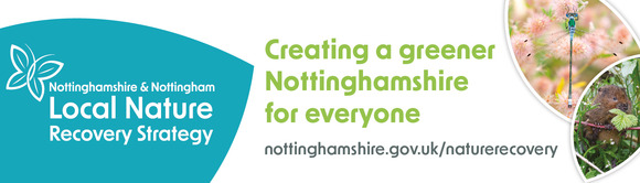 Local Nature Recovery Strategy. Creating a greener Nottinghamshire for everyone. Nottinghamshire.gov.uk/naturerecovery