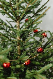 Close up of a Christmas tree