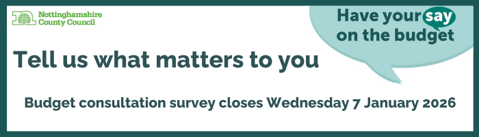 Budget consultation survey