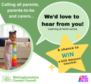 Learning at home survey