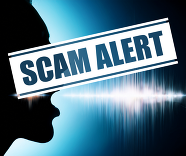 Voice cloning scam alert