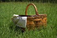 Summer picnic