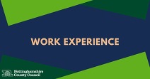 Work experience