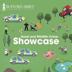 Rufford abbey country park