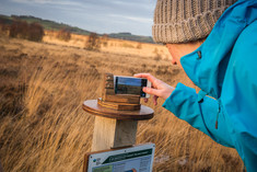 picture post cors caron