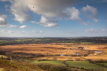 Cors caron Drew photo