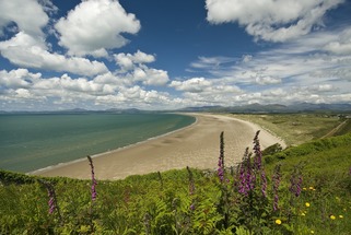 Morfa Harlech on a summer's day.