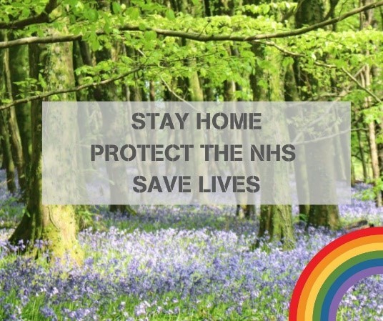 Photo of a wood and a rainbow, with the text: Stay home, Protect the NHS, Save Lives