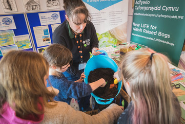 Peatland education resources