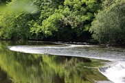 LIFE Dee River_Llangollen Weir