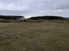 Whiteford Burrows dune slack upon completion of mowing work.
