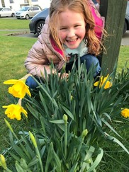 Girl looks happy posing amongst daffodils