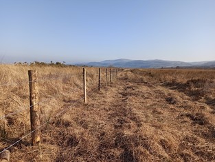 cors fochno fence 1