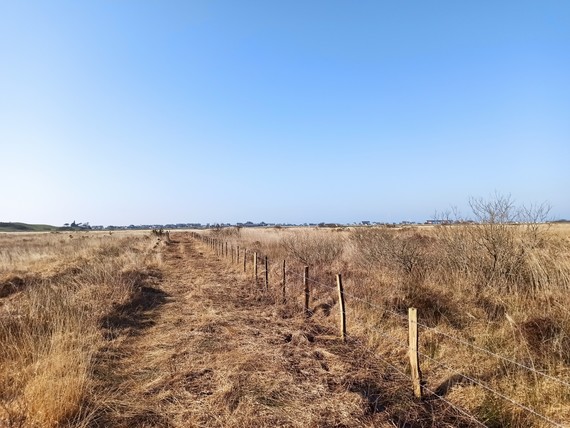 cors fochno fence 2