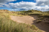The sand dunes at Newborough - Y twyni tywod yn Niwbwrch.