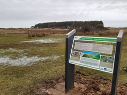 Sands of LIFE information panel at Whiteford Burrows