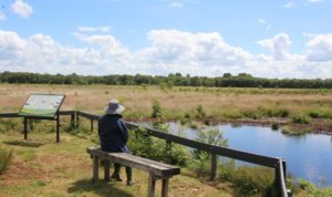 Look out over bettisfield mosses