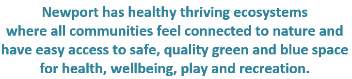 Green and Safe Vision