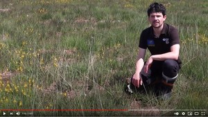 Cors Caron restoration work video image