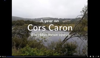 Time lapse video image