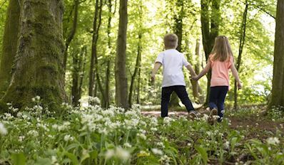 Children in a forest