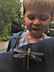 Small boy looks at a dragonfly which has landed on someone's jumper
