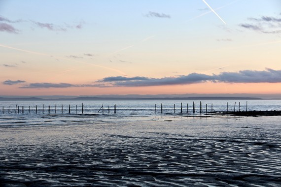 Living Levels photo 4