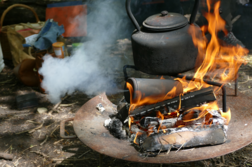 Green and Safe woodland photo