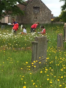 Children survey for wildlife in a graveyard