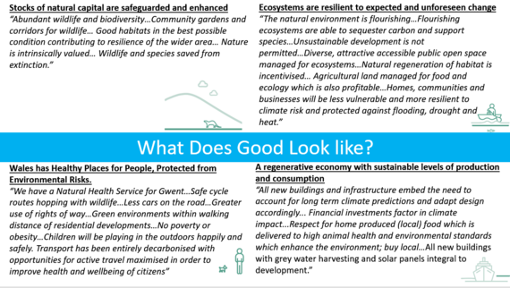 SE Area statement What does good look like 1